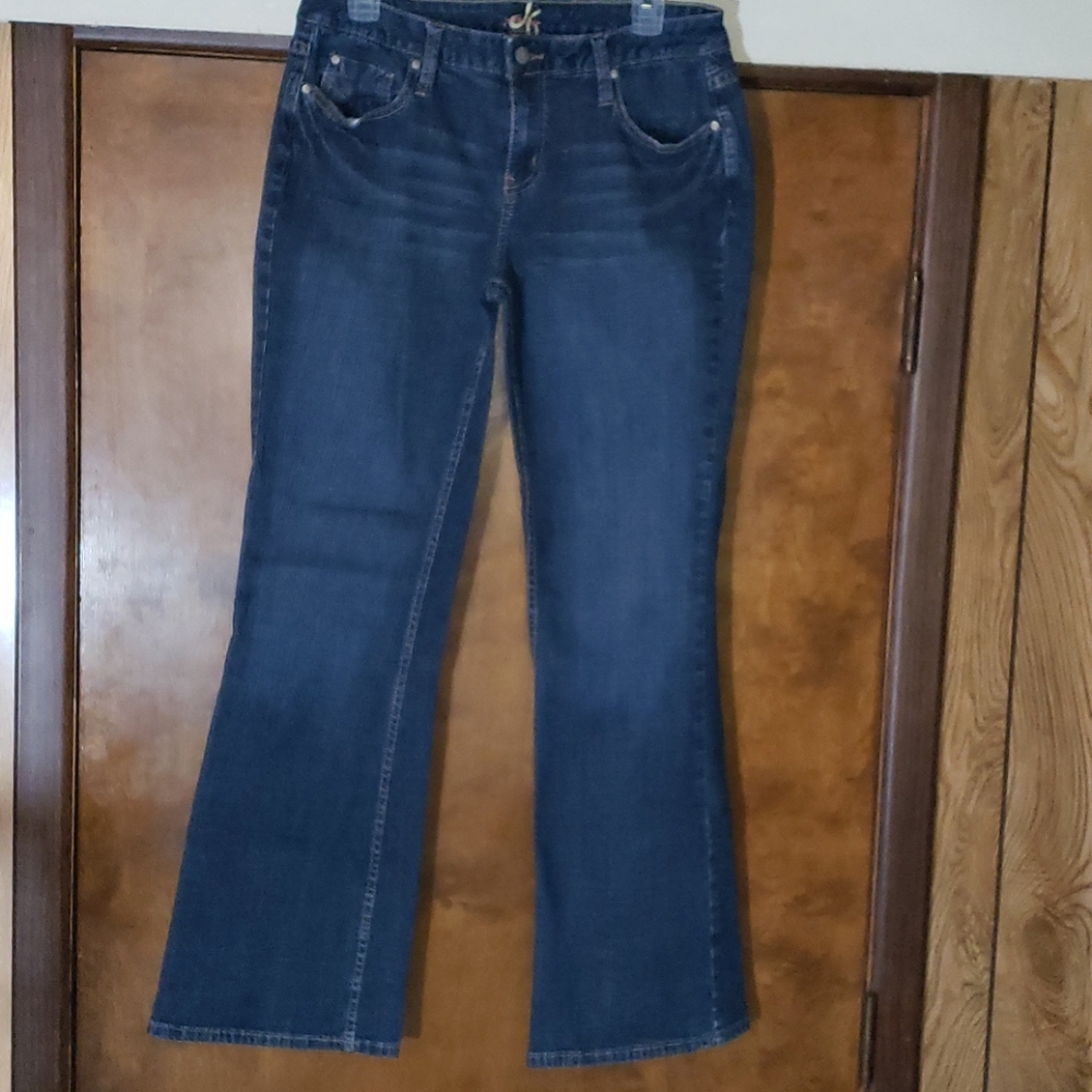 Premium Jeans Women's Size 10